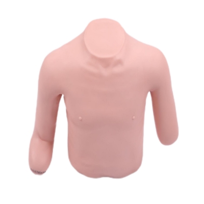 高級(jí)高位包扎模型