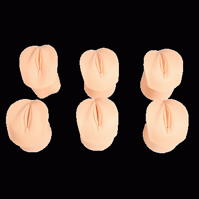 產(chǎn)前宮頸變化與產(chǎn)道關(guān)系模型