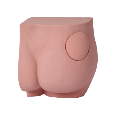 臀部注射實習(xí)模型