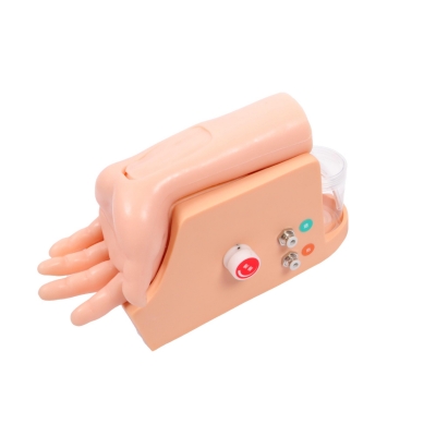  高級動脈血氣分析訓(xùn)練模型