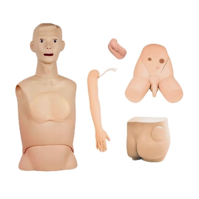 高級基礎(chǔ)護(hù)理實習(xí)操作模型（五部件）