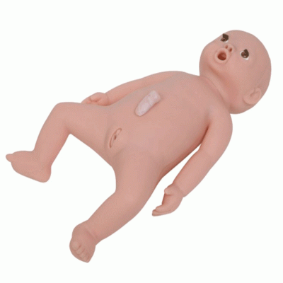 高級嬰兒護(hù)理模型