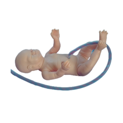 新生兒臍帶插管模型