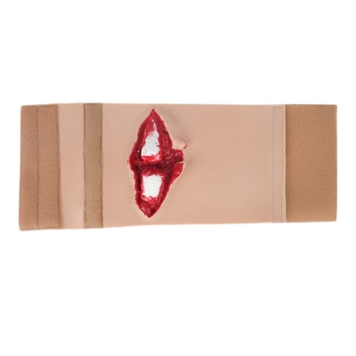 脛骨開放性骨折訓練模塊