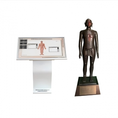 多媒體針灸穴位發(fā)光銅人交互平臺(tái)((純58銅)120 公斤
