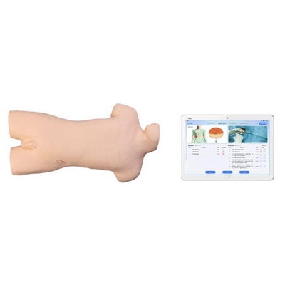  交互式腹腔穿刺操作訓(xùn)練模型（平板無(wú)線系列）
