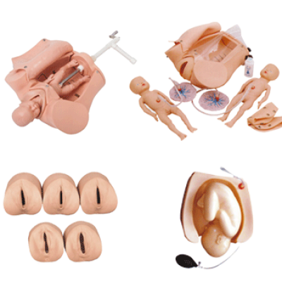 高級(jí)腹部觸診、分娩機(jī)轉(zhuǎn)綜合模型