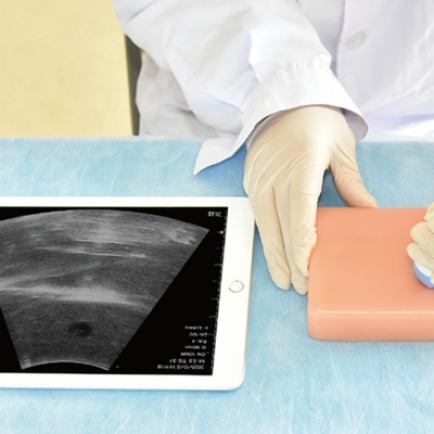 B超乳房囊腫訓(xùn)練模塊